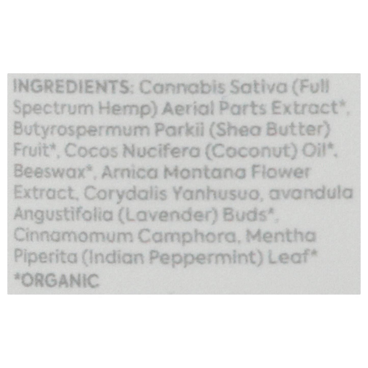 Plant People - Hongo gourmet Wondercalm Peach - 1 unidad - 60 unidades