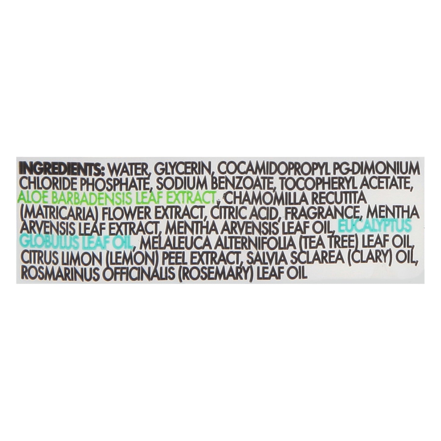 Toallitas húmedas Dude Wipes - Toallitas húmedas Mint Chill, paquete de 3, caja de 4, 144 unidades