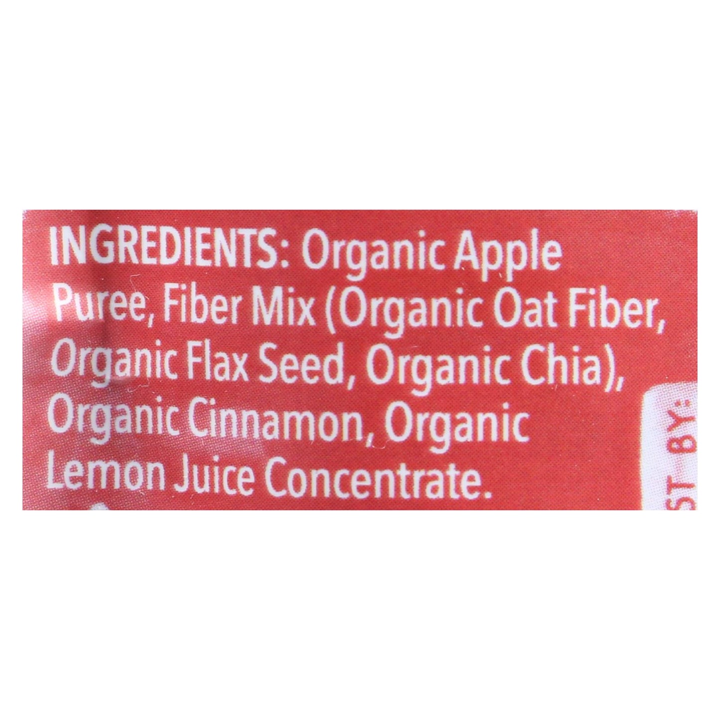 南瓜树有机 - 燕麦籽苹果肉桂 - 10 盒装 - 3.5 盎司