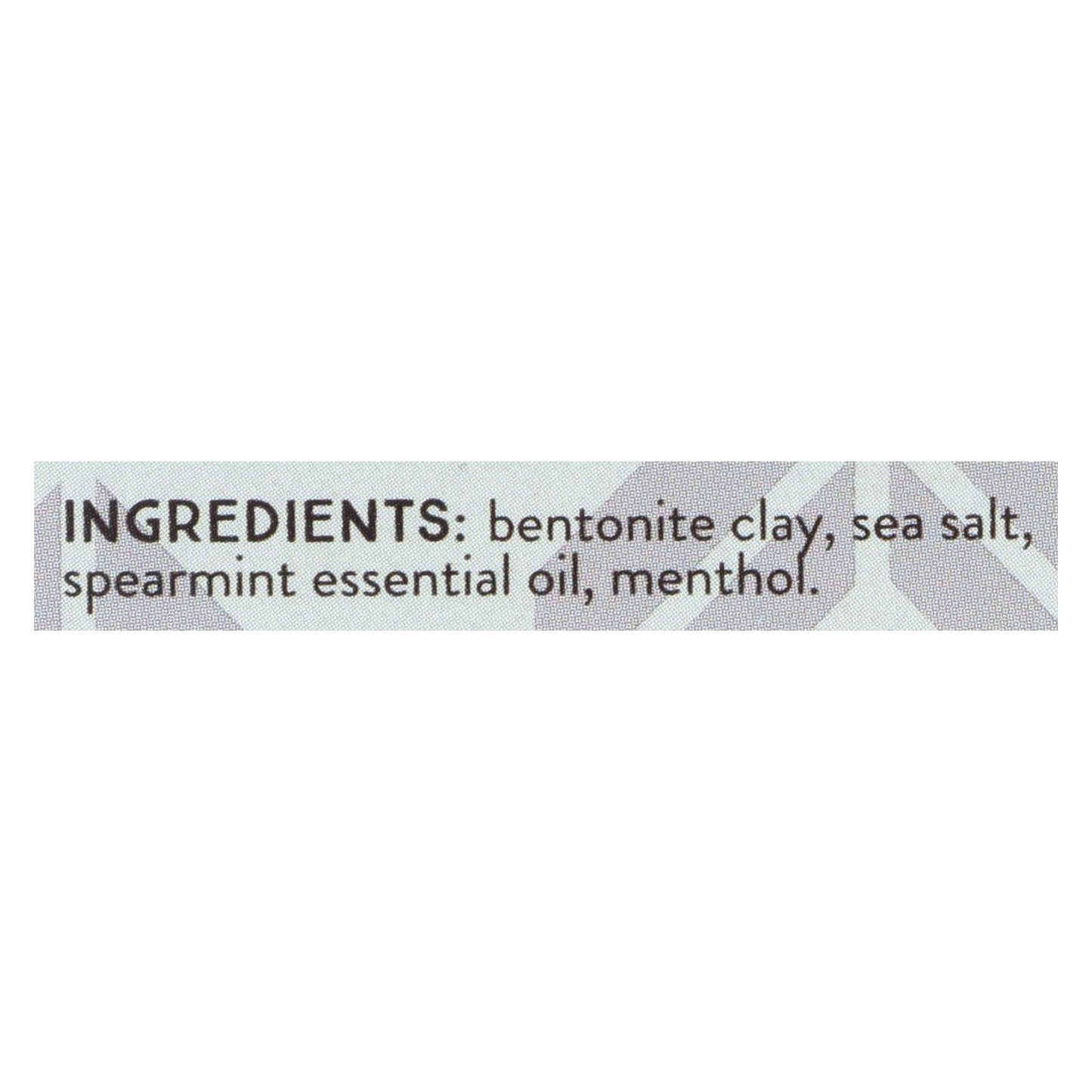 Redmond Earthpowder Toothpowder Spearmint - 1 Each - 1.8 Oz