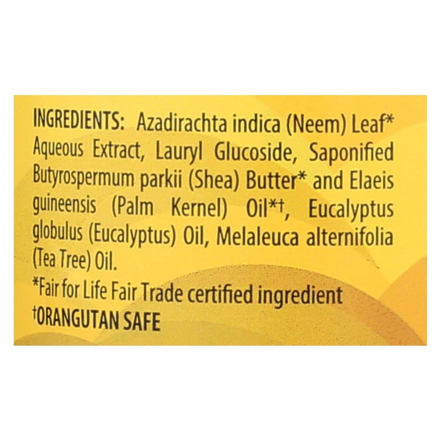 Alaffia - 非洲黑皂 - 桉树茶树 - 32 液体盎司。