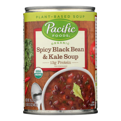 Pacific Foods - Sopa de col rizada negra picante - Caja de 12 a 16,3 oz