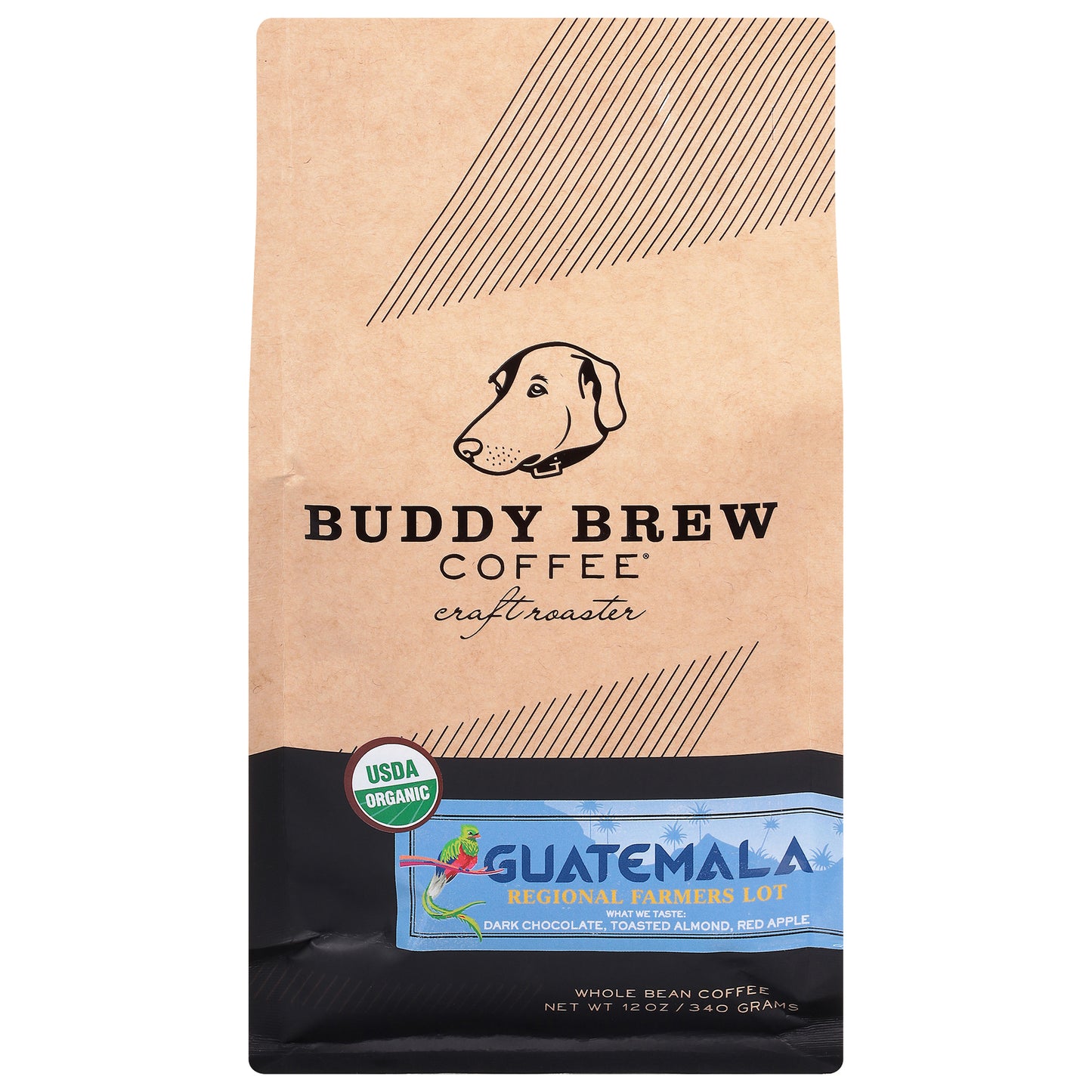 Buddy Brew - 危地马拉全豆咖啡 - 6-12 盎司一箱