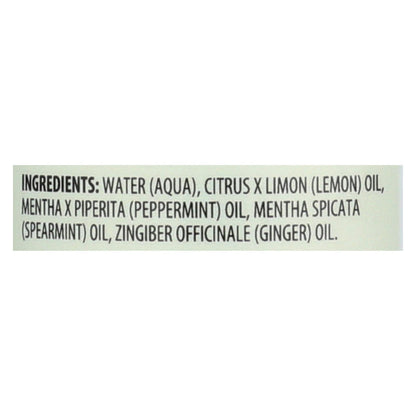 Aura Cacia - Aromaterapia Niebla Jengibre Menta - 4 Fl Oz